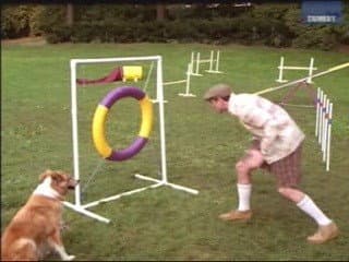 Still from Murray at the Dog Show