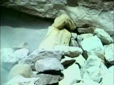Still from The Hide Cutters