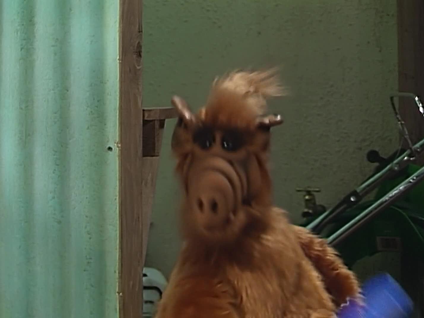 Still from We're So Sorry, Uncle Albert
