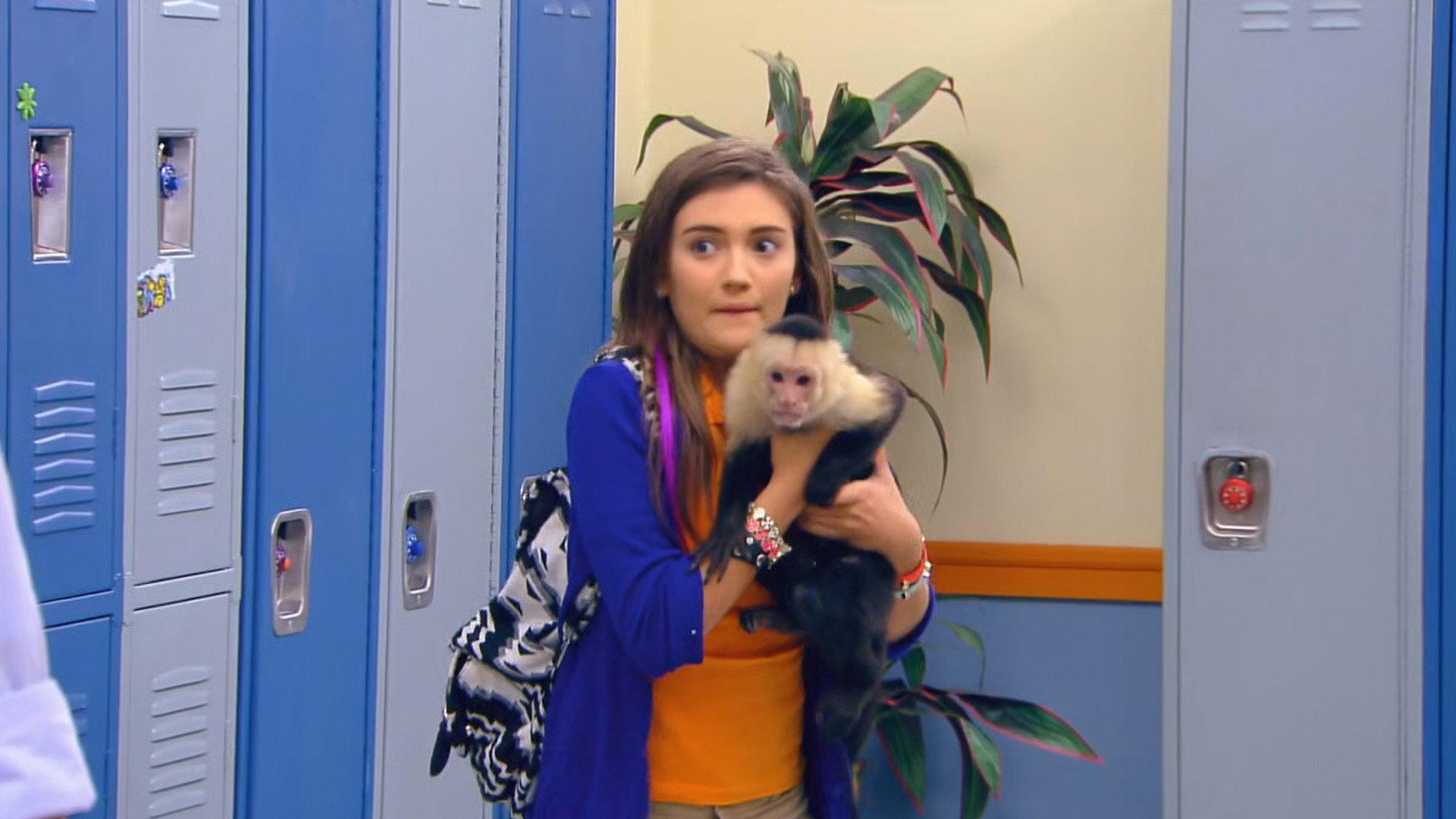 Still from Monkey Business (2)