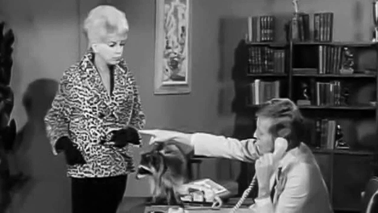 Still from Chickadee Returns