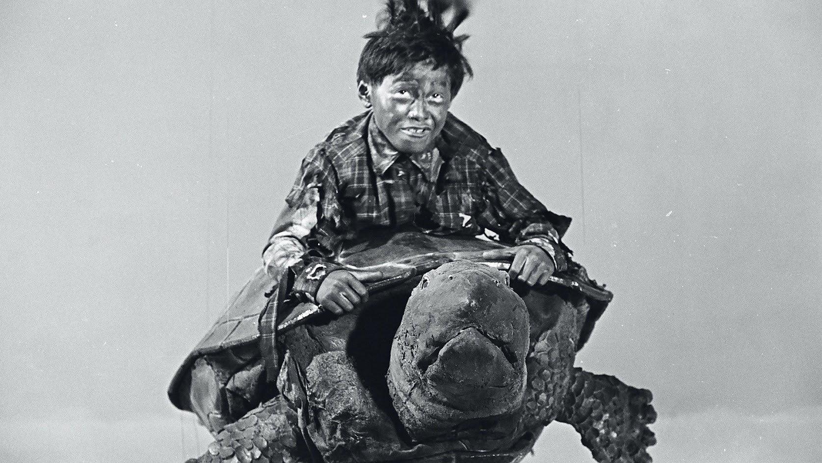 Still from Grow Up! Little Turtle