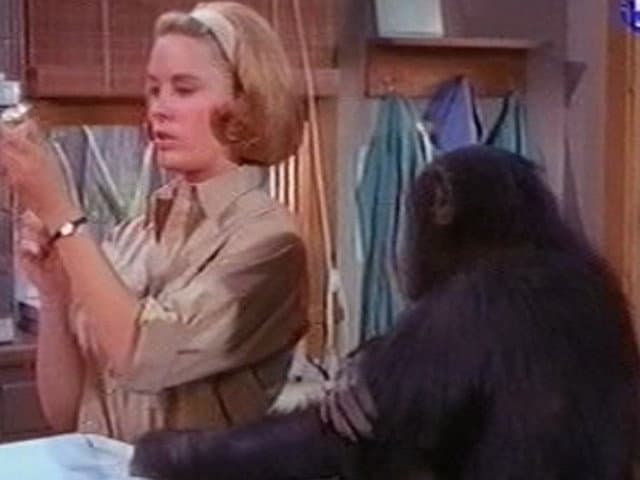 Still from Judy's Hour of Peril