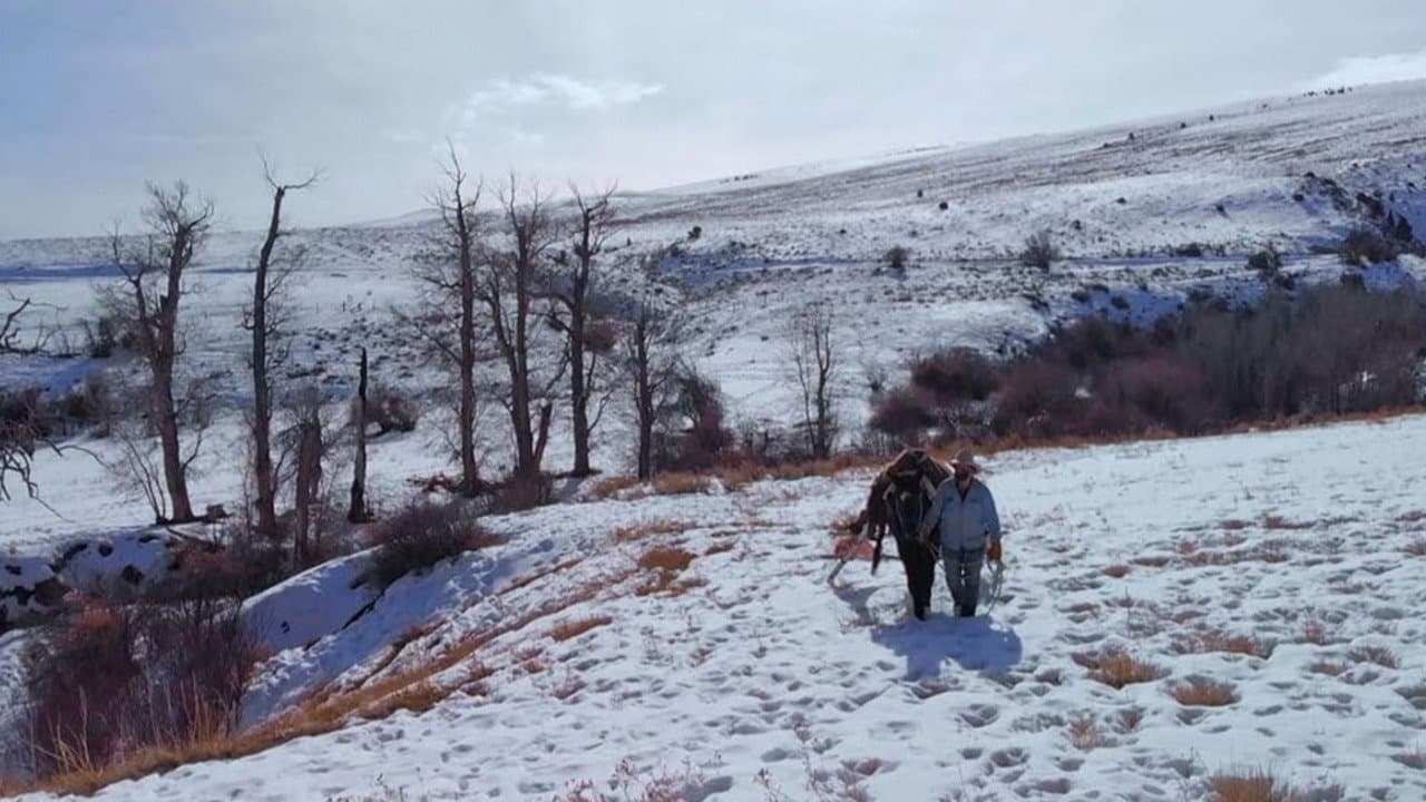 Still from Beasts of Burden
