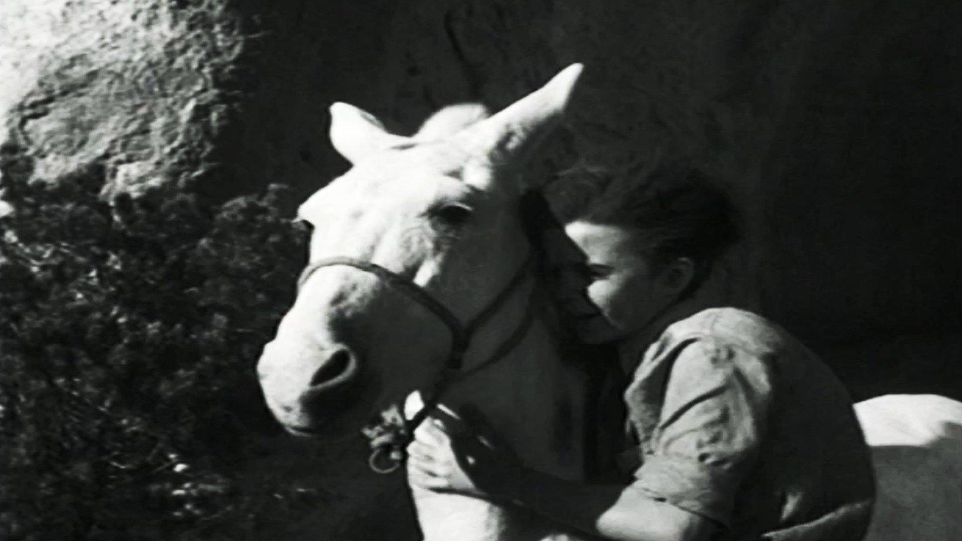 Still from Ten Drops of Water