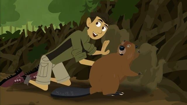 Still from Build It Beaver