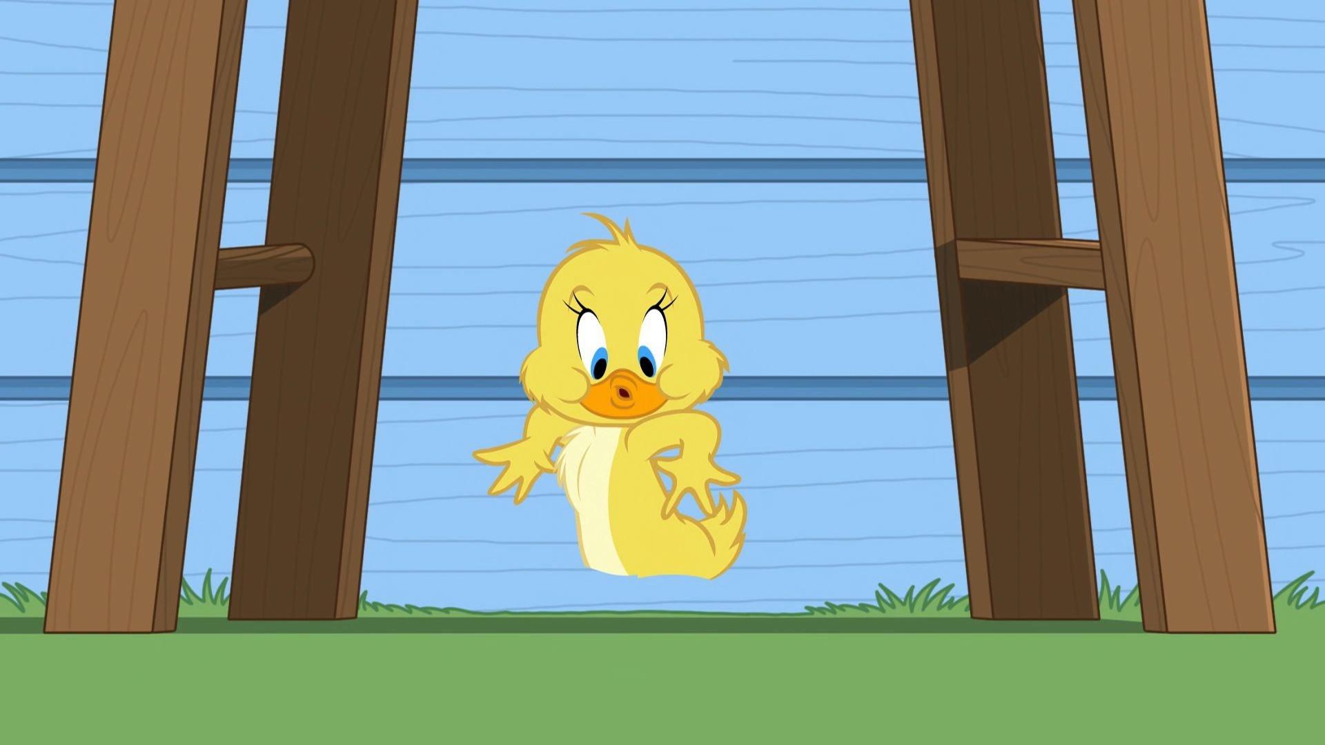 Still from Tough Luck Duck