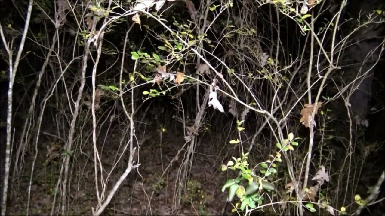 Still from Gettysburg Ghosts and More