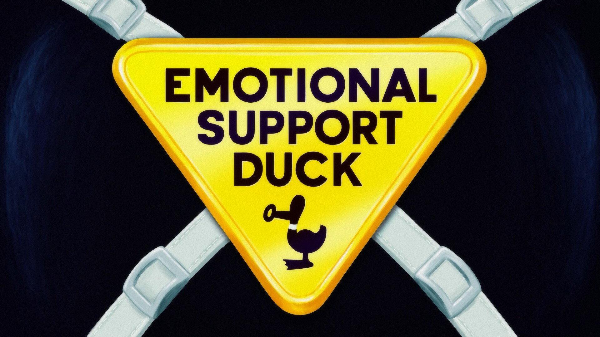 Still from Emotional Support Duck