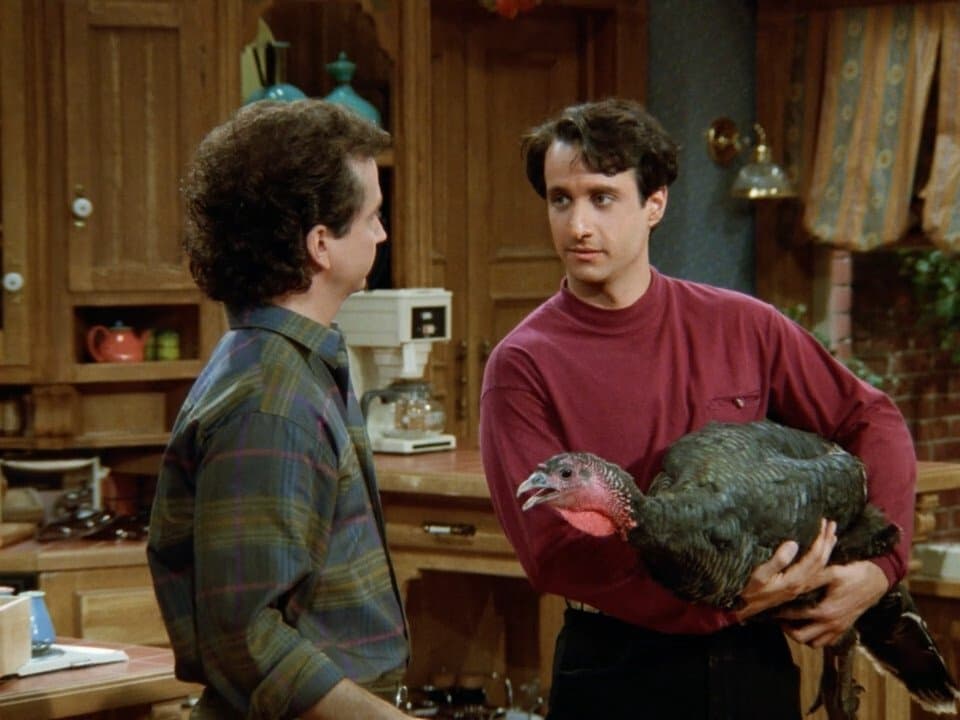 Still from Wild Turkey