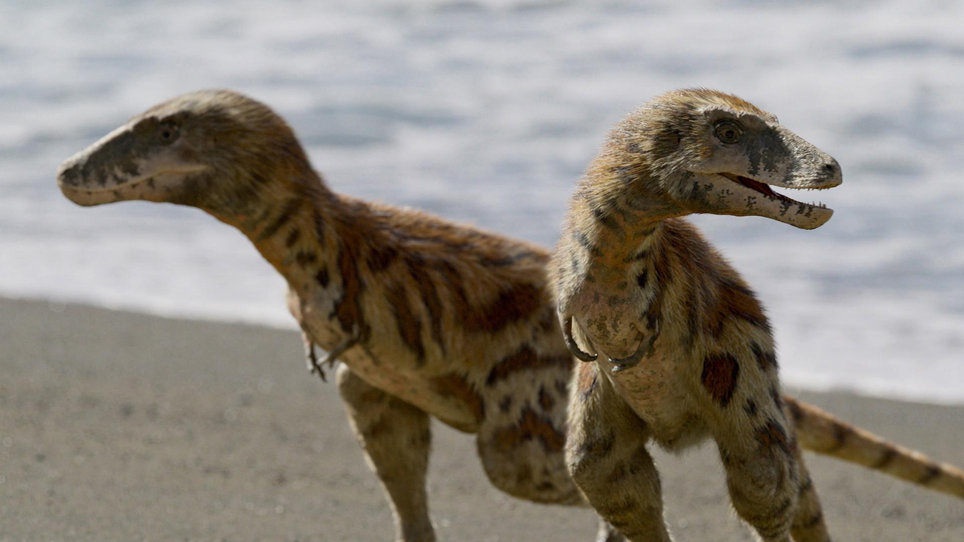 Still from Uncovered: Could T. Rex Really Swim?