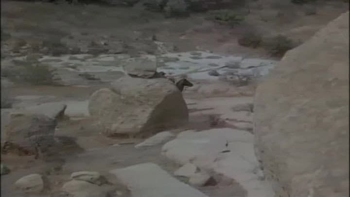 Still from Bushwack!