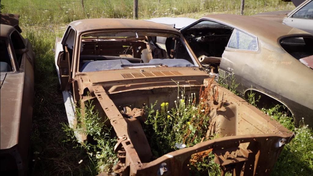 Still from Rustang to Mustang