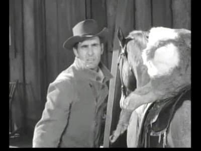 Still from Tell Chester