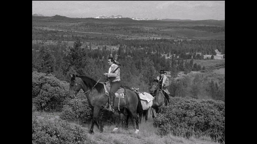 Still from A Head of Hair