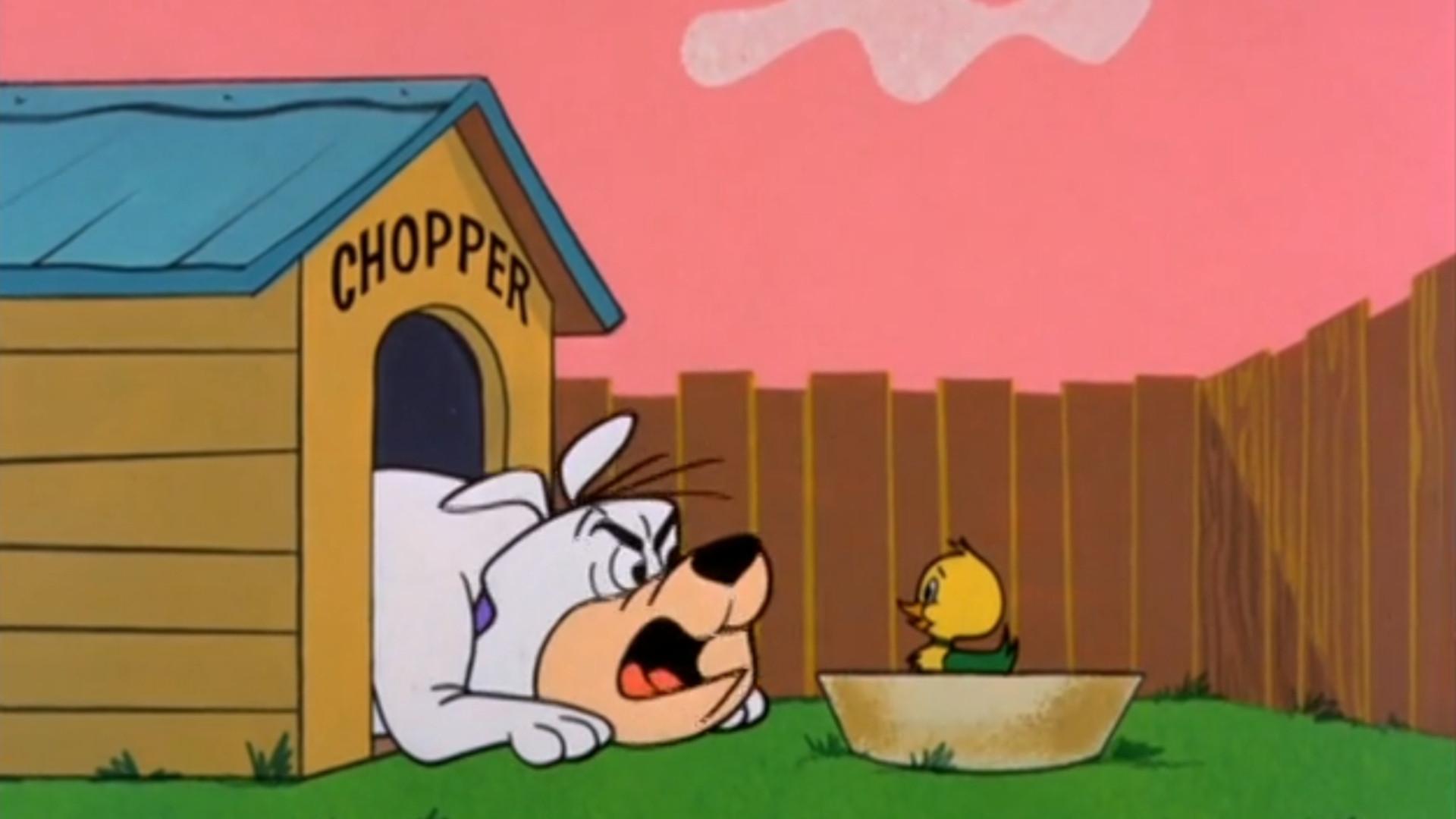 Still from Out of Luck Duck