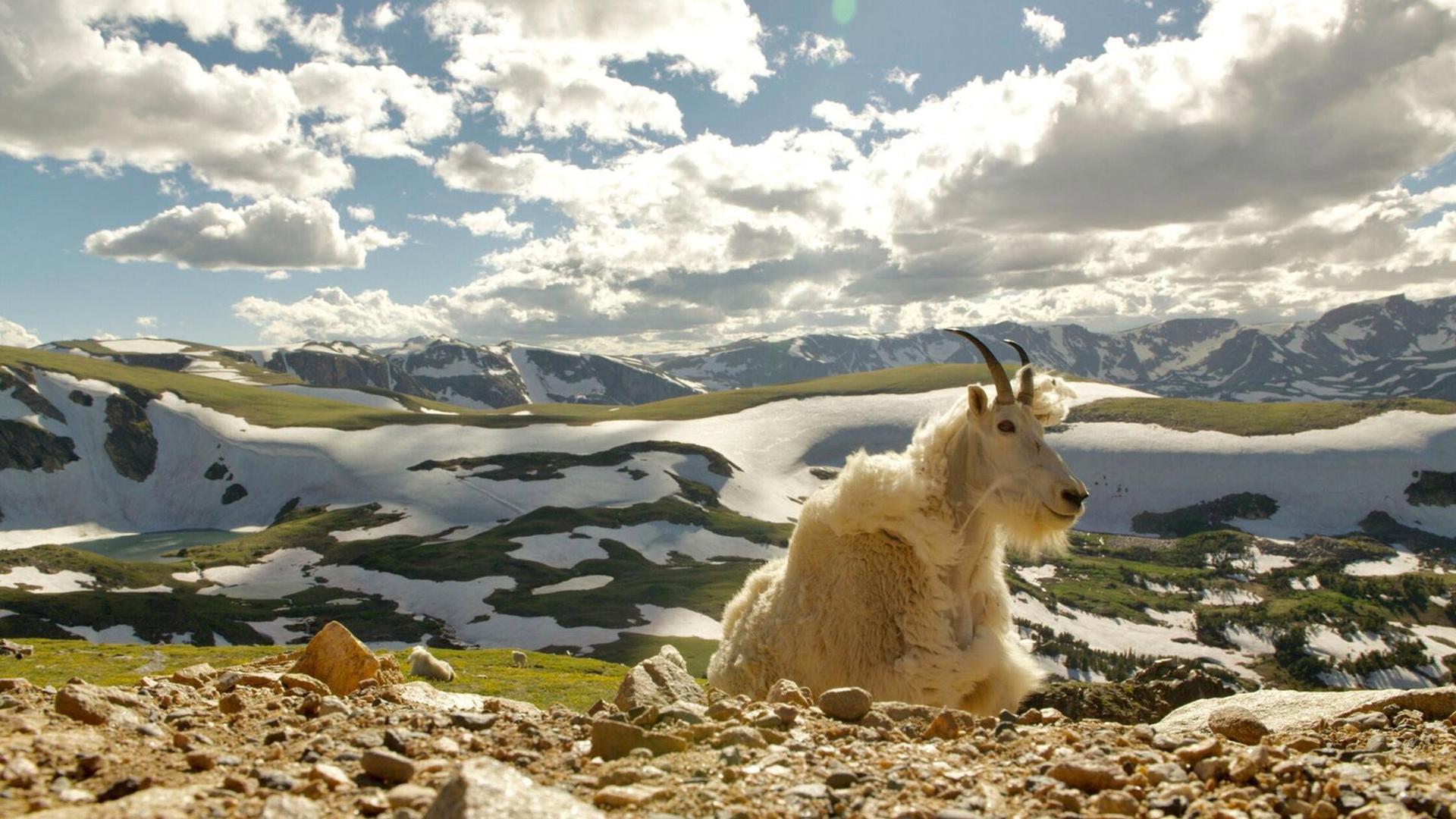 Still from Born in the Rockies 02: Growing Up