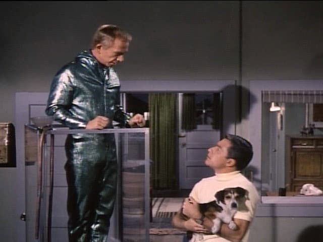 Still from Doggone Martin
