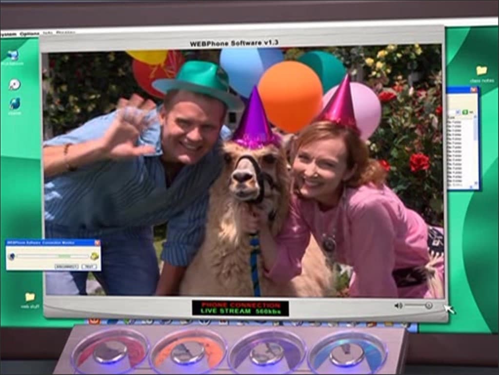 Still from Quinn's Alpaca