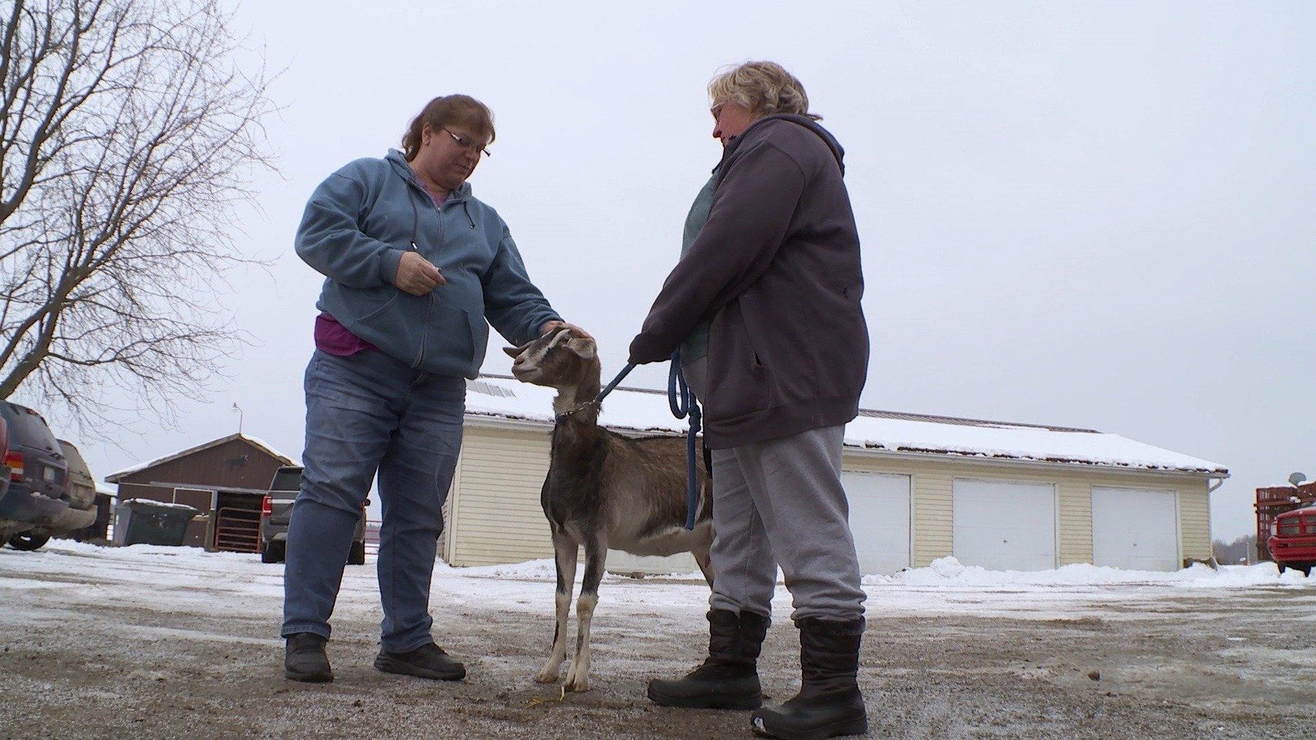 Still from Love Wool Find a Way