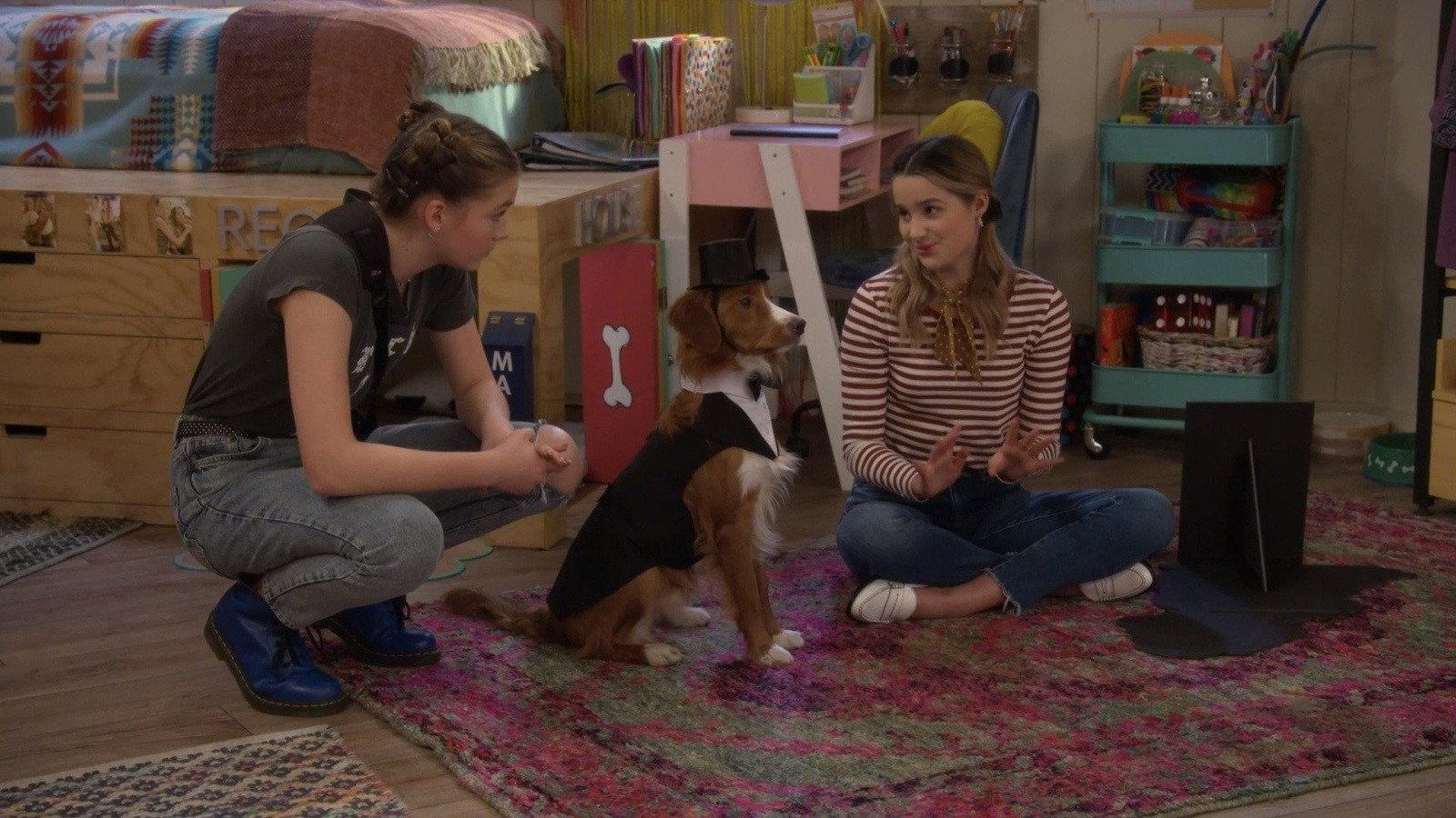 Still from Dog WedDING!