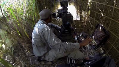 Still from Diaries: Grasslands