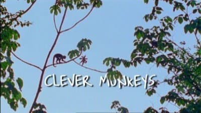 Still from Clever Monkeys