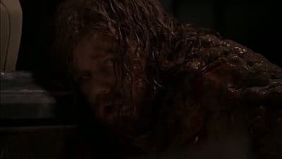 Still from All God's Creatures