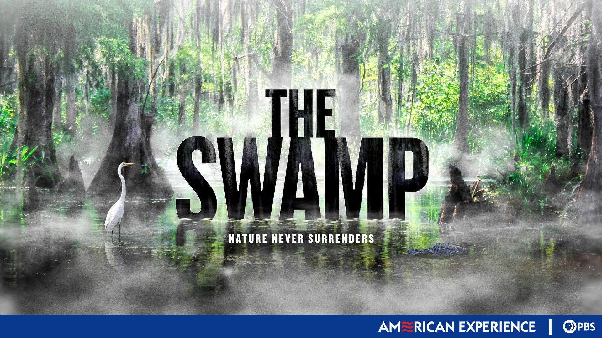 Still from The Swamp