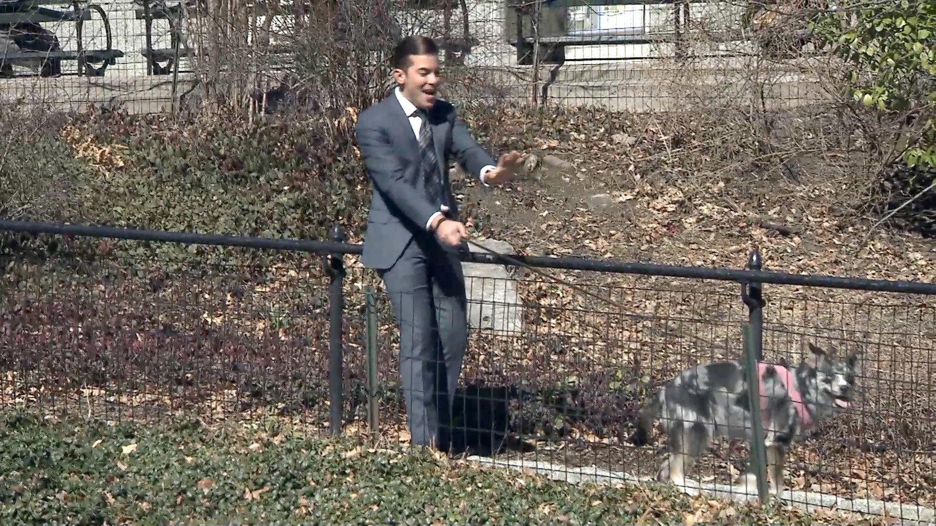 Still from Take a Walker