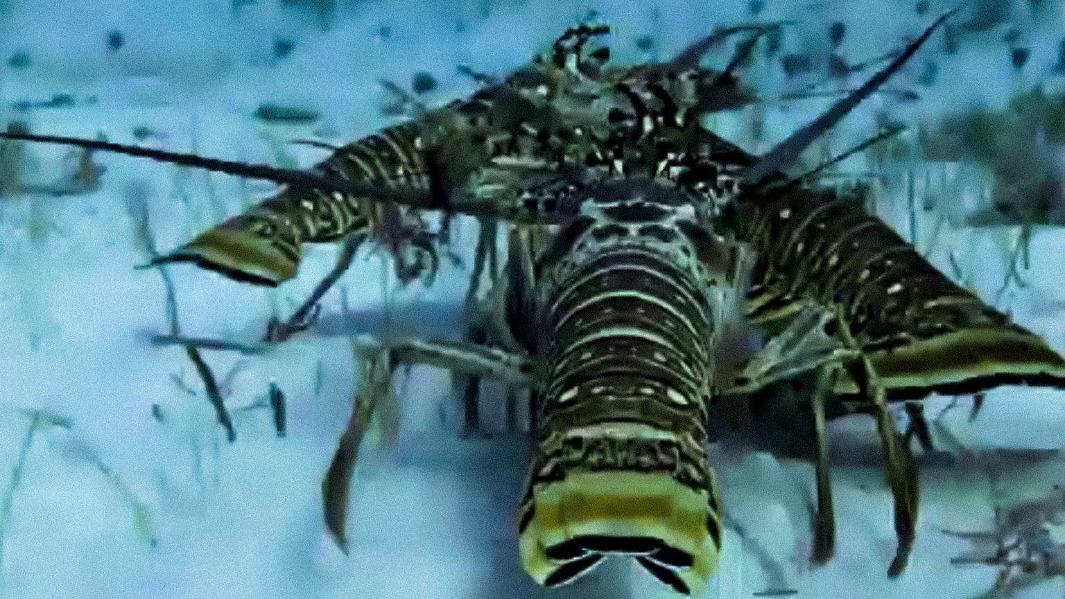 Still from Finding the Way