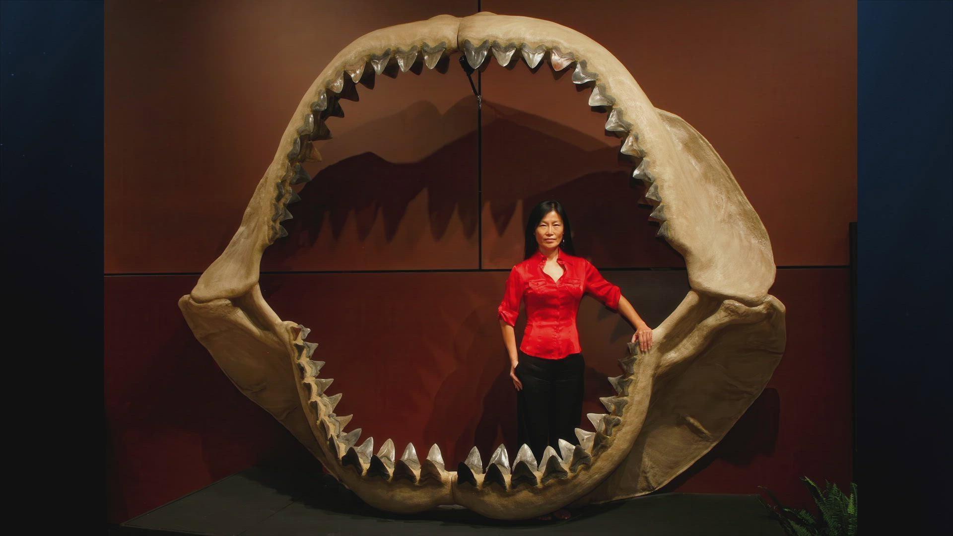 Still from Terrors of the Deep