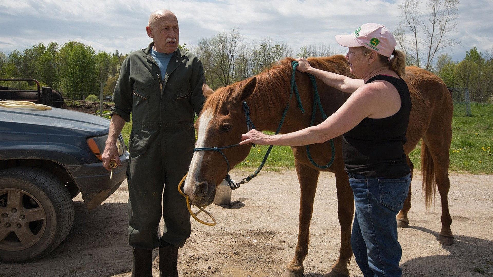 Still from Storm's a-Mooin'