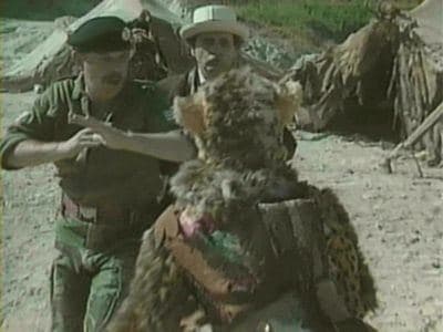 Still from Survival (1)