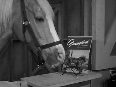 Still from Wilbur Sells Ed