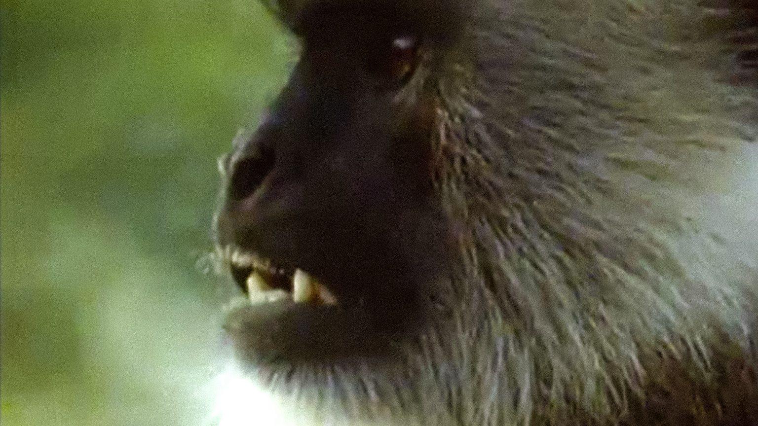 Still from Fighting