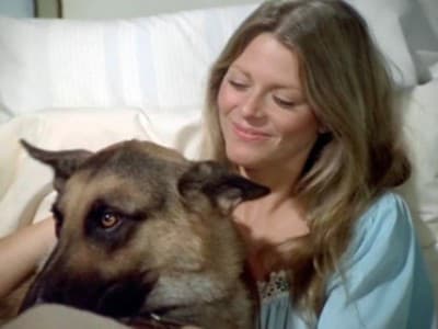 Still from Max