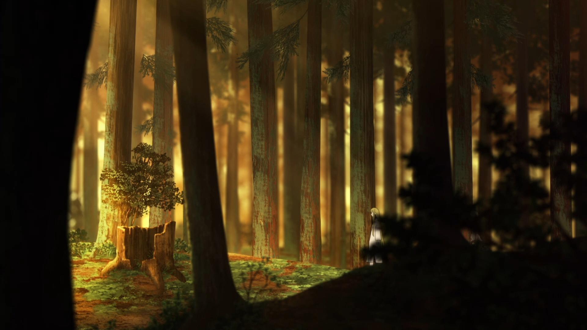 Still from Summary I - The Beginning of the Journey