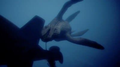 Still from The Submarine