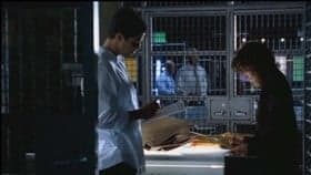 Still from Breathless