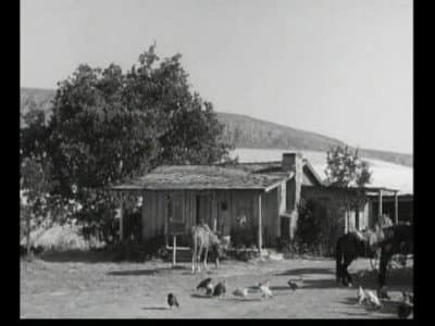 Still from The Ditch