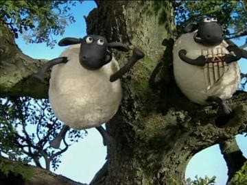 Still from Save the Tree