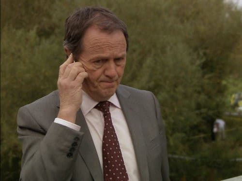 Still from Wild Justice