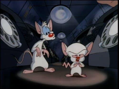 Still from Schnitzelbank