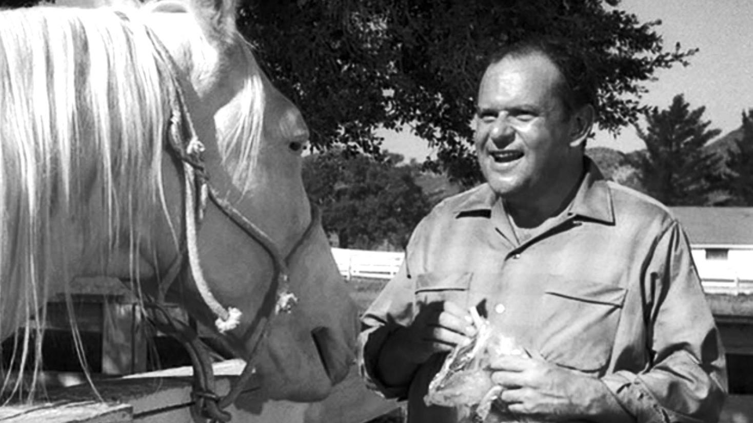 Still from Fatso
