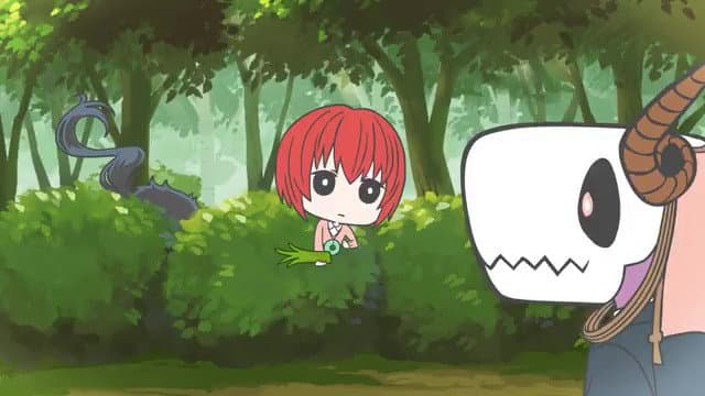 Still from MahoYome 18 - Medicinal Plant Gathering
