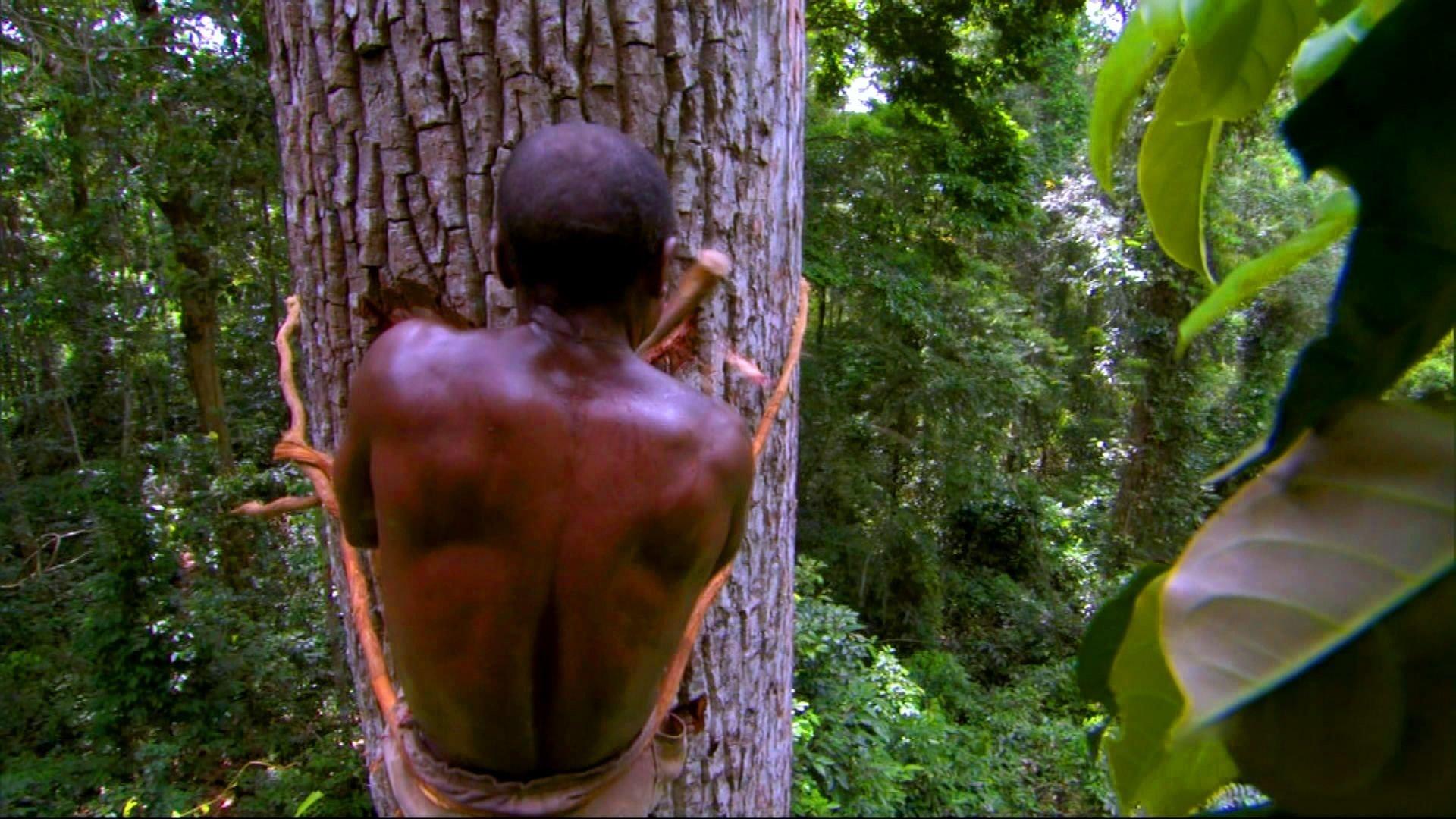 Still from Jungles: People of the Trees