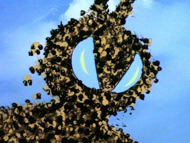 Still from Swarm