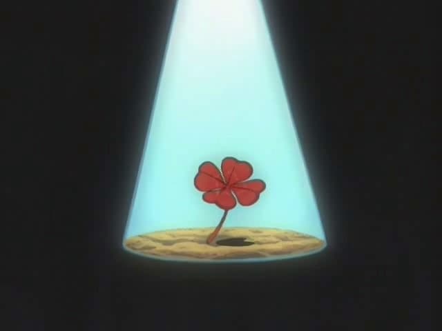 Still from Find the Crimson Four-Leaf Clover!