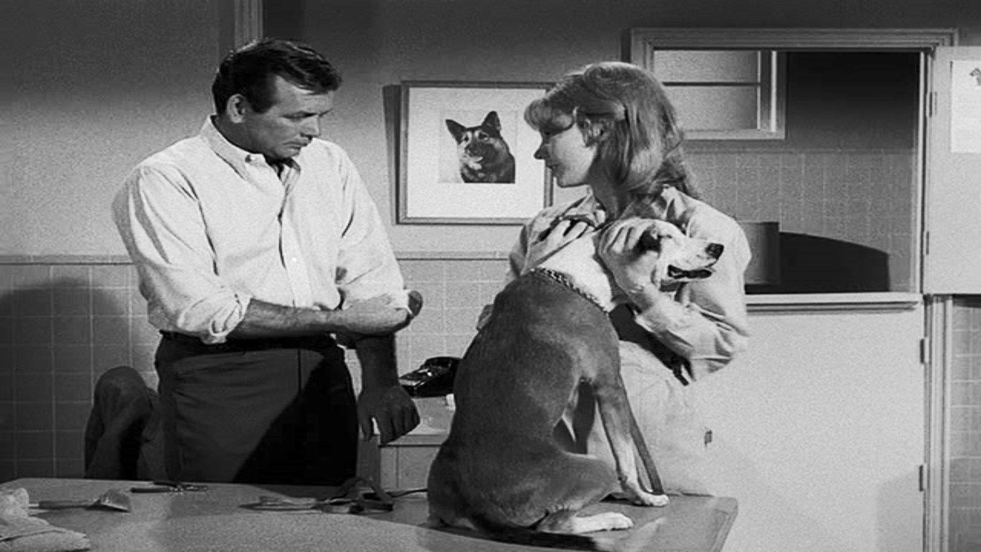 Still from Shadow of the Swan